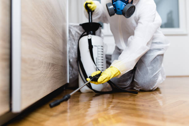 Best Pest Prevention Services  in Ohkay Owingeh, NM