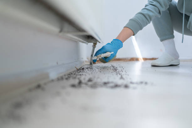 Best Bed Bug Extermination  in Ohkay Owingeh, NM